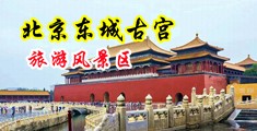 女人想要操的视频中国北京-东城古宫旅游风景区