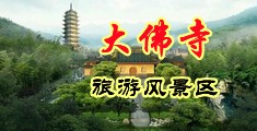 桃红色界，想要导航中国浙江-新昌大佛寺旅游风景区